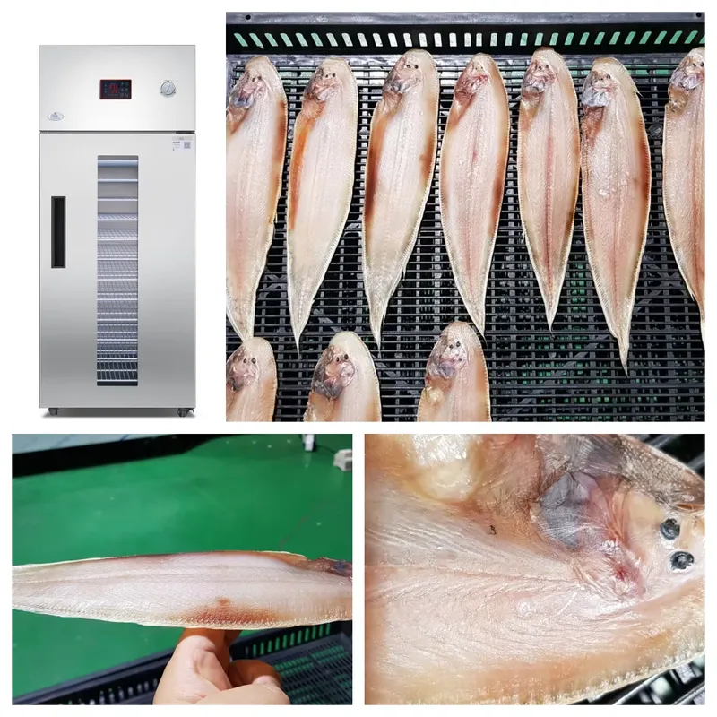 35～55度乾燥機 工業用・業務用 果物・野菜・食品乾燥機  - Commercial Food Dehydrator のレビューと価格